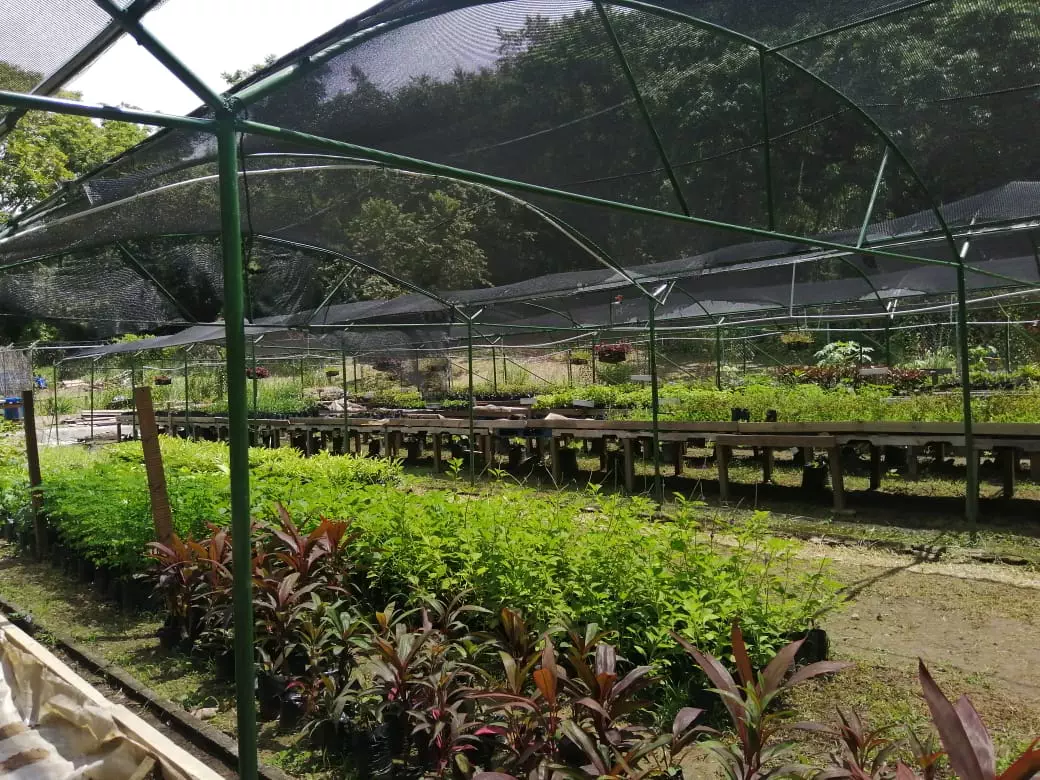 Garden greenhouse in Roatan Honduras